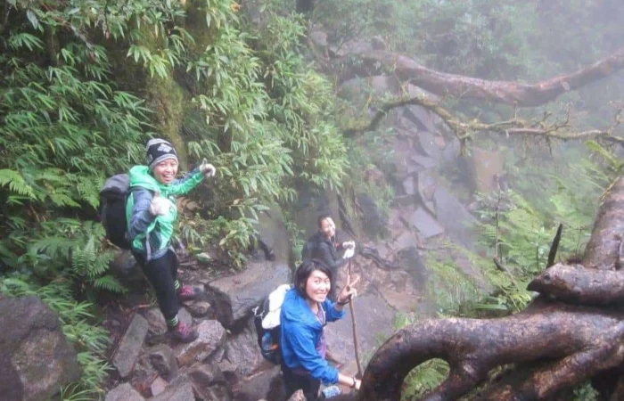 Trekking Fansipan - Zonitrip