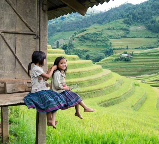 rice terrace - mu cang chai-vietnam