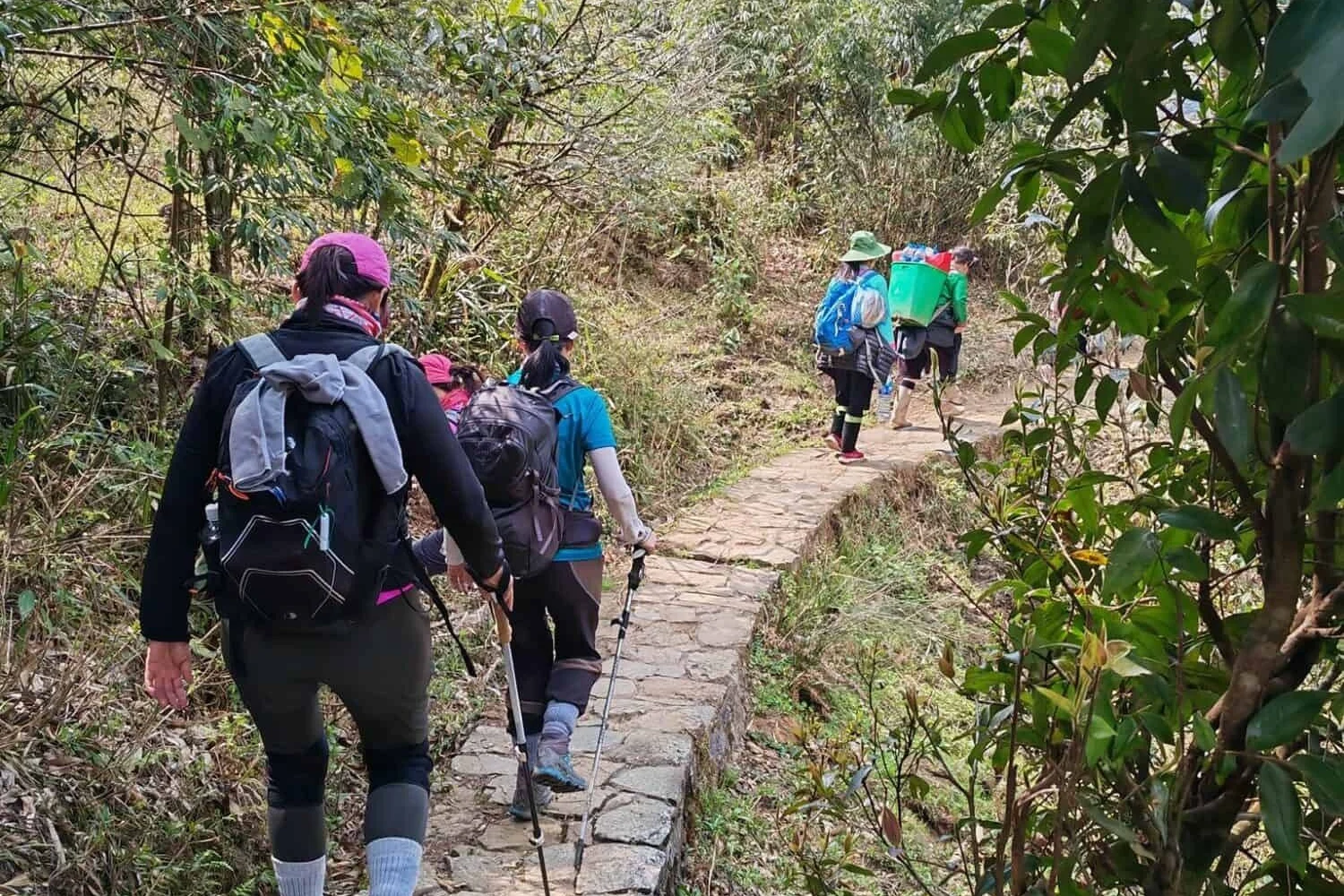 Trekking Fansipan- Zonitrip