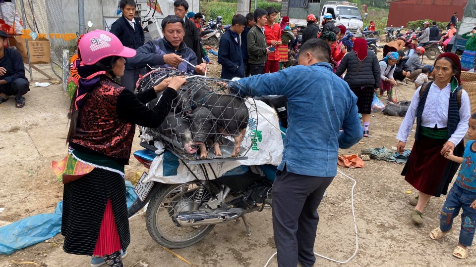 meo vac market- ha giang attractions