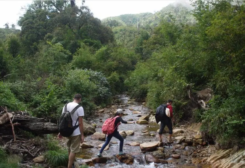 Trekking Fansipan- zonitrip