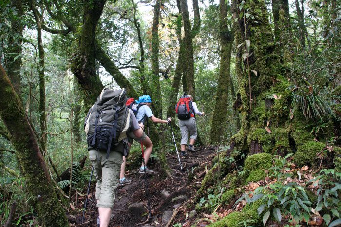 Trekking Fansipan, Vietnam