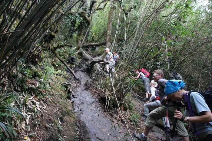 Trekking Fansipan, Vietnam