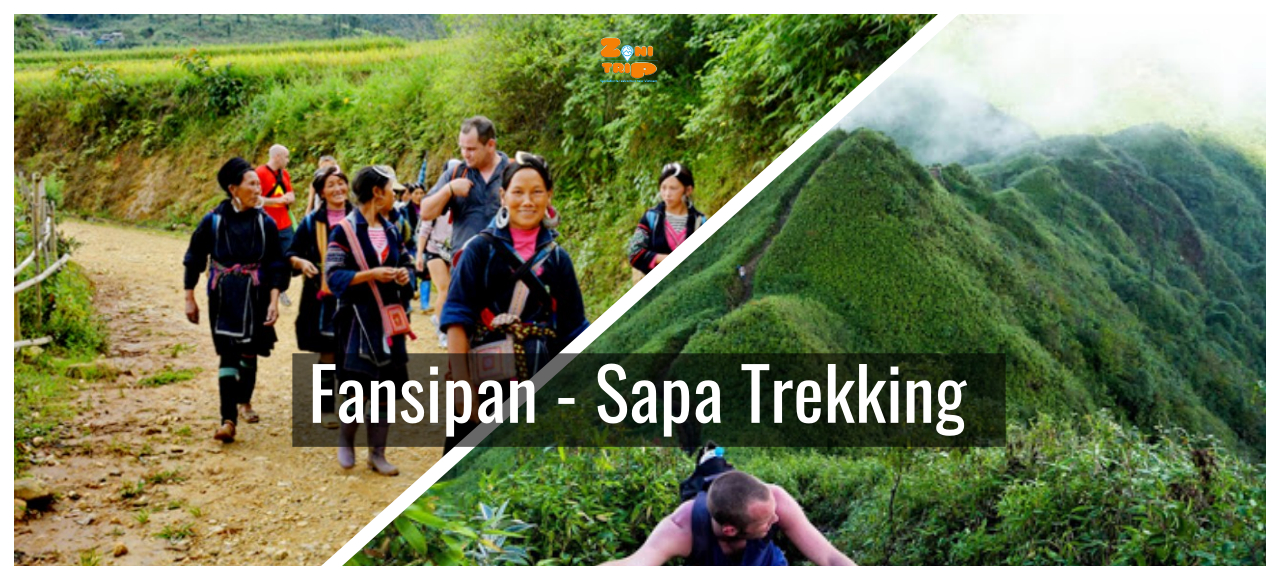 Trekking Fansipan- Hiking Sapa