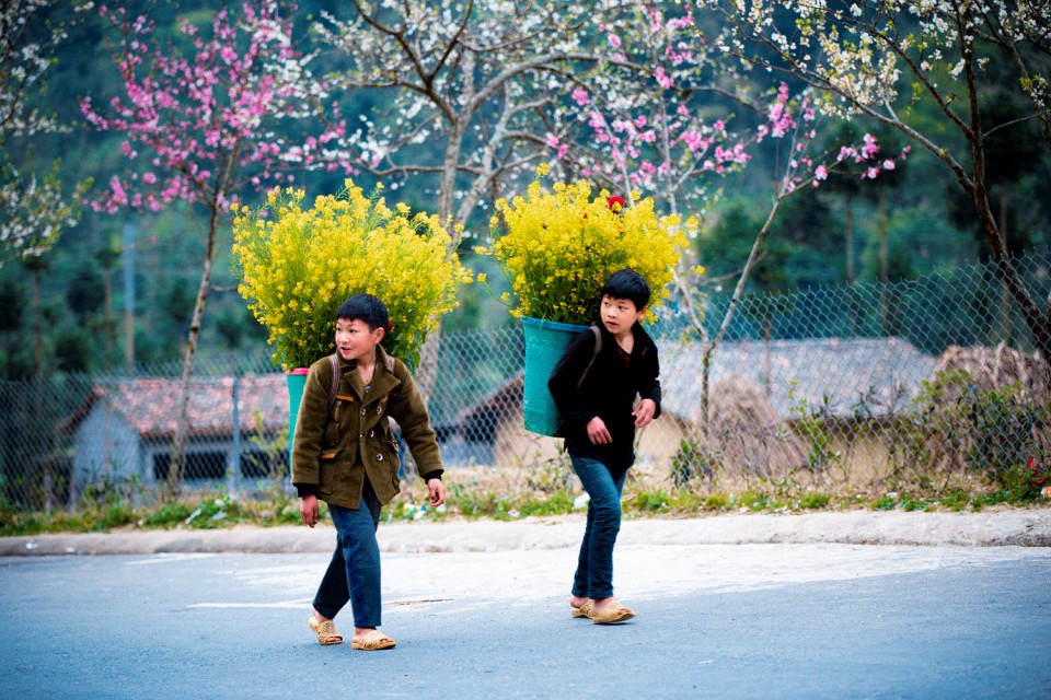 Ha Giang, Vietnam, zonitrip