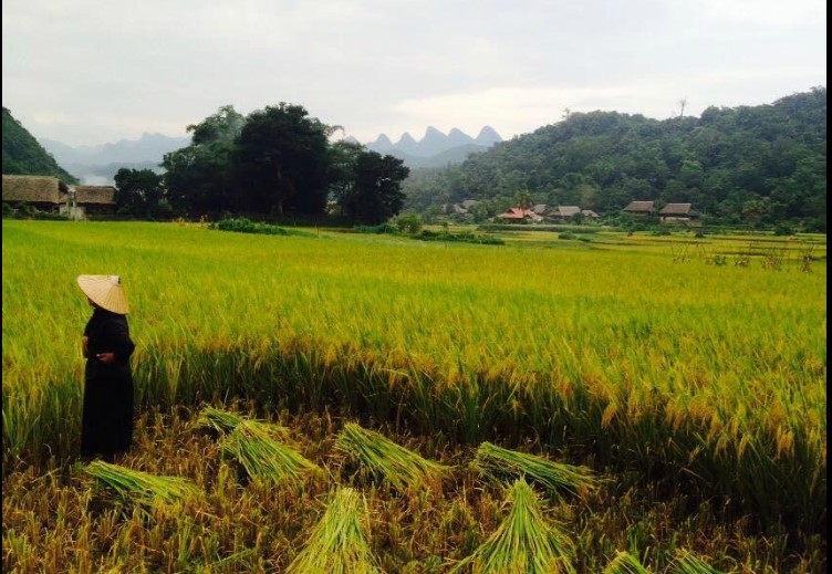 thon tha village- ha giang 