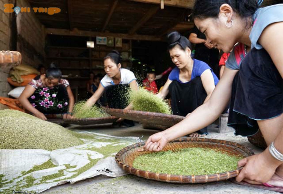 grren sticky rice in Tu Le- com Tu Le