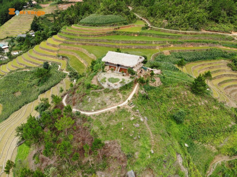 Hello mu cang chai homestay