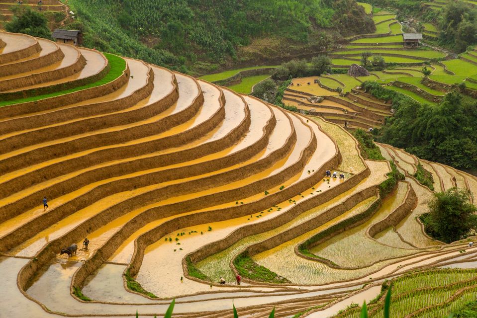 mu cang chai mua nuoc do- anh tran giap