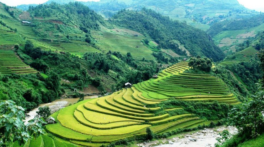 mui giay, rice terrace in mu cang chai