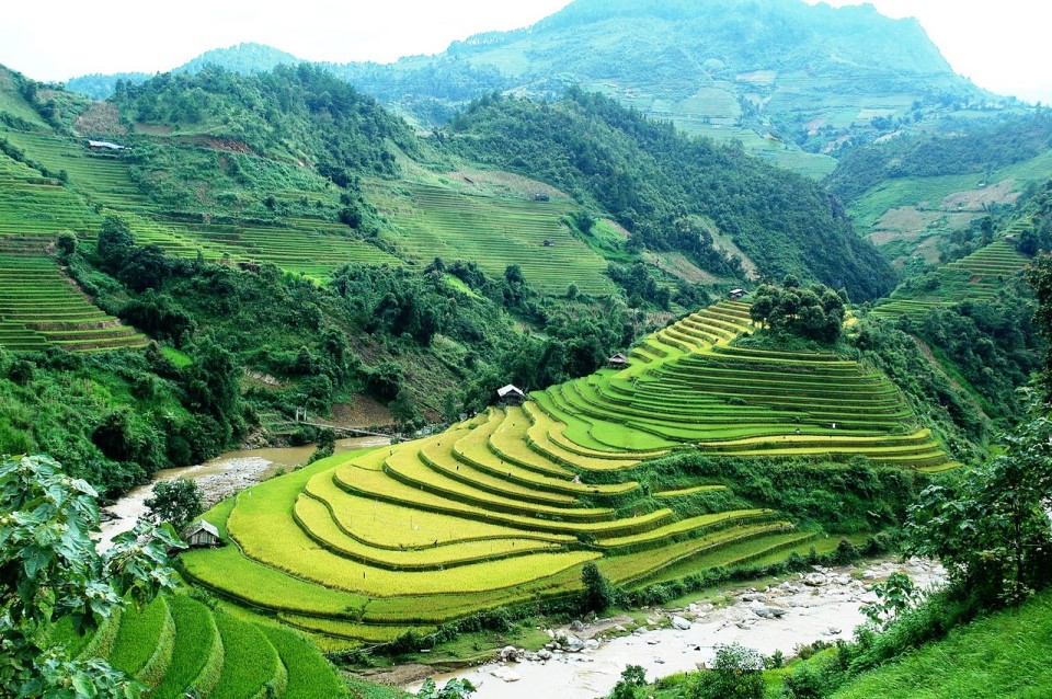 mui giay, rice terrace in mu cang chai