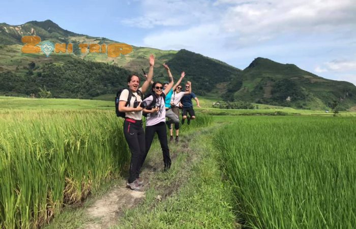 trekking on the rice field in Mu Cang Chai