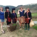 trekking mu cang chai- anh thumnail 500px