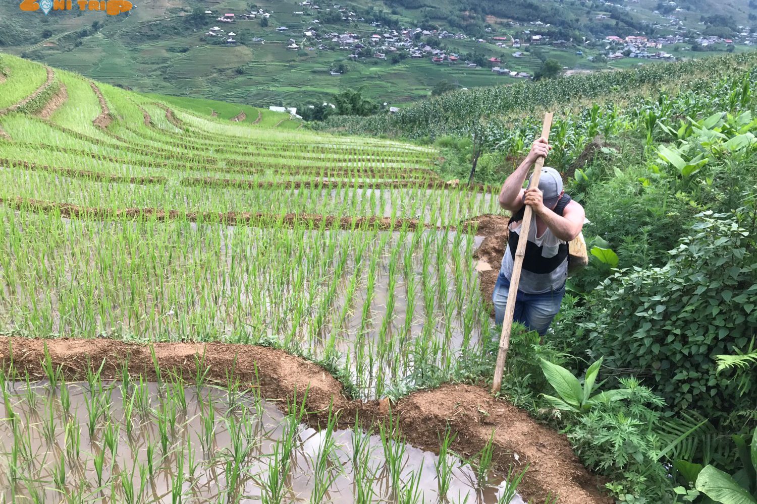 hiking mu cang chai- vietnam