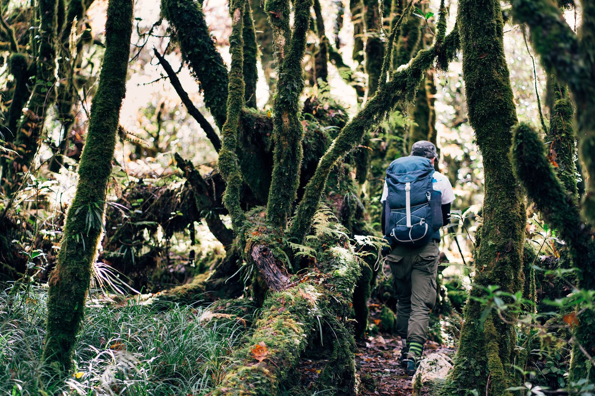 Trekking Ta Xua, Tram Tau, Yen Bai