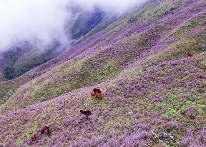 Trekking Tà Chì Nhù