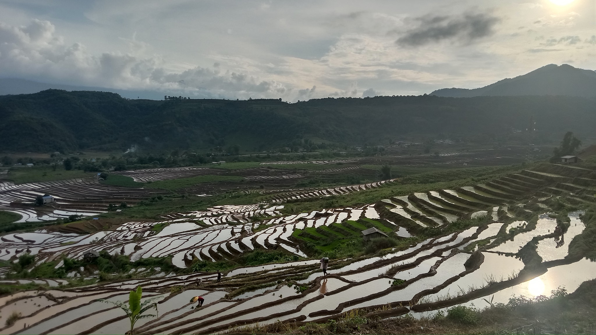 Rice terrace in Lai Chau - Zonitrip
