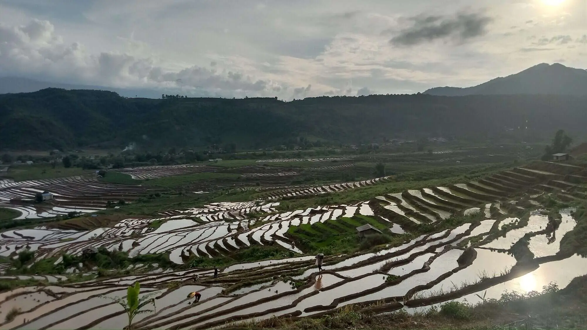 Rice terrace in Lai Chau – Zonitrip Rice terrace in Lai Chau - Zonitrip
