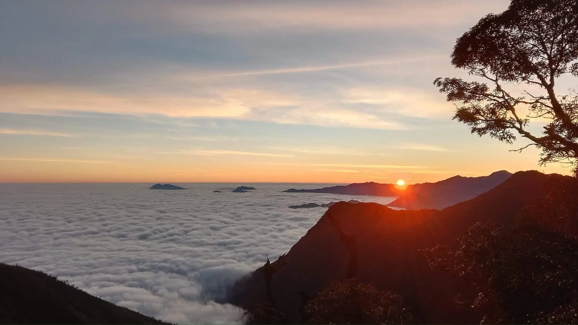 Trekking Ta xua, Tram Tau