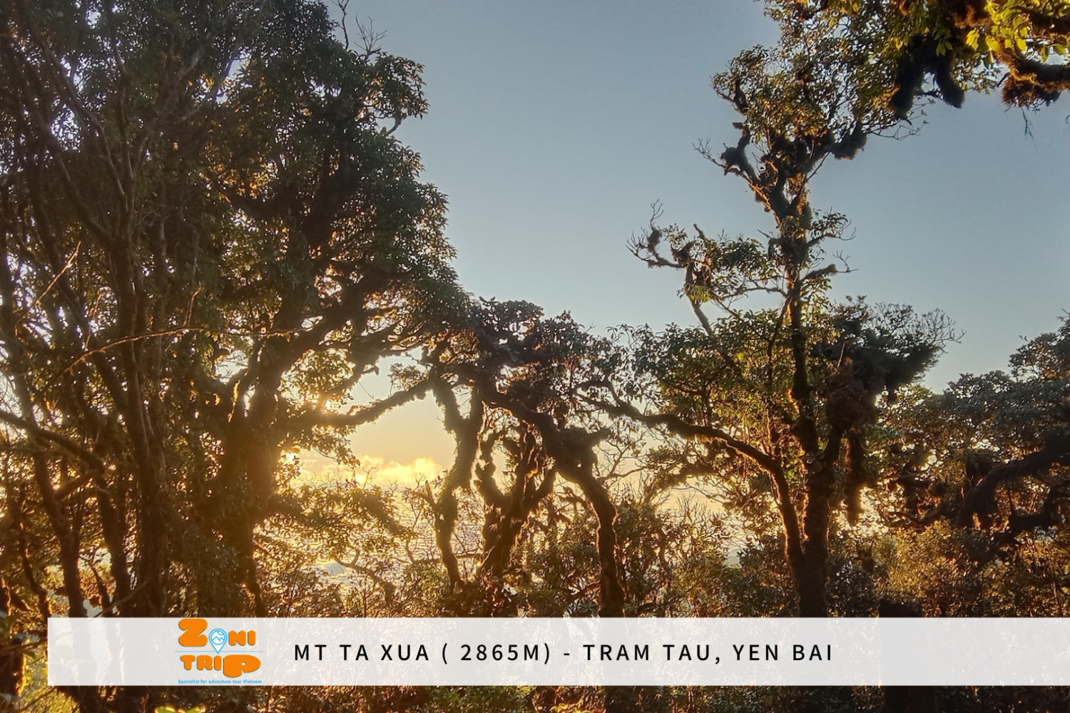 trekking Ta Xua mountain- Zonitrip