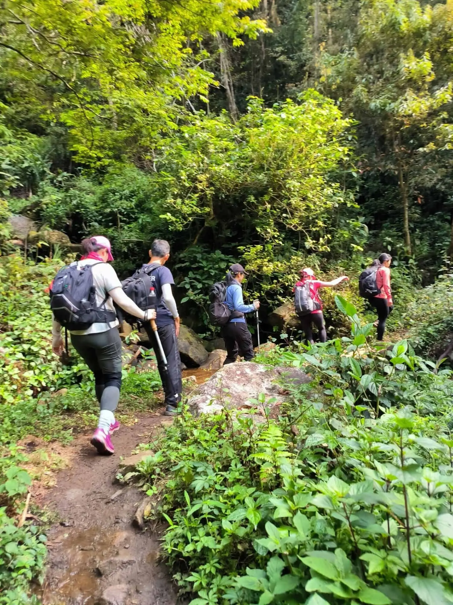 337174295_165101893081701_7897141671753435643_n Trekking Mt Ta Lien Son- Zonitrip