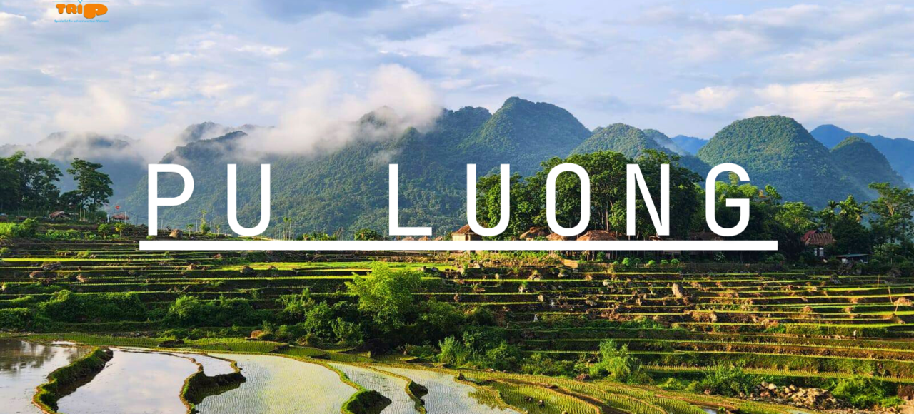 Trekking Pu Luong, North Vietnam -ZONITRIP 2