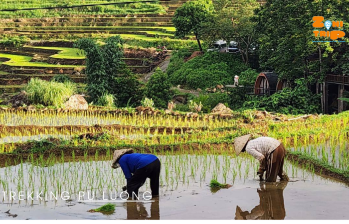 Trekking Pu Luong, North Vietnam -ZONITRIP 2