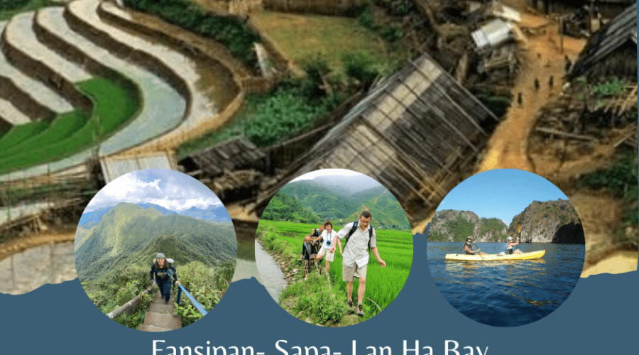 Fansipan- Sapa- Lan Ha Bay tour