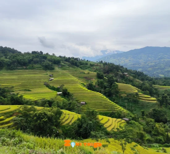 Trekking Hoang su phi- zonitrip