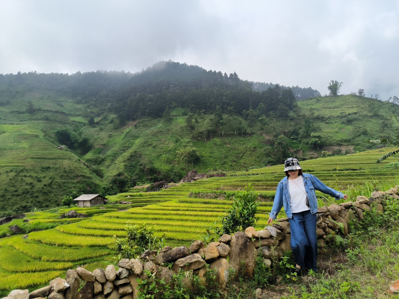 Du lịch trạm tấu yên bái- trekking