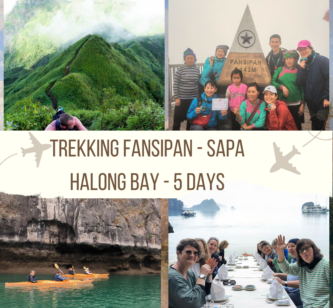 Trekking Fansipan- Sapa- halong bay -anh avatar