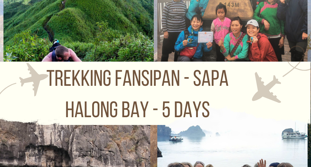 Trekking Fansipan- Sapa- halong bay -anh avatar