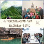Trekking Fansipan- Sapa- halong bay -anh avatar