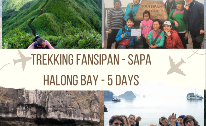 Trekking Fansipan- Sapa- halong bay -anh avatar