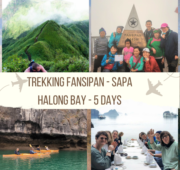 Trekking Fansipan- Sapa- halong bay -anh avatar